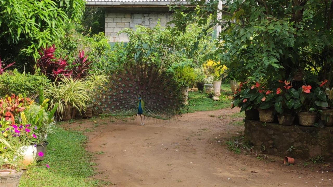 Bird House Villas Tangalle Exterior photo